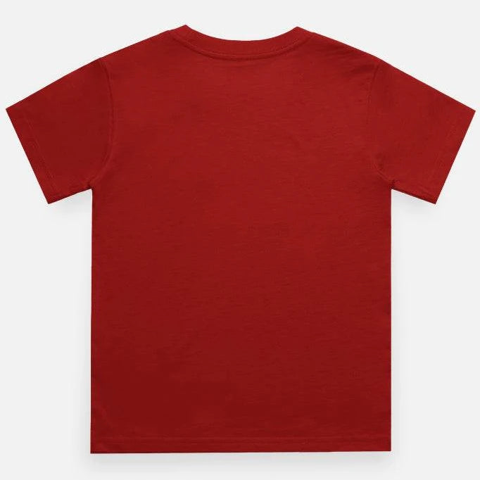 Celestial Melody – Lord Krishna Boys’ Regular-Fit T-Shirt.