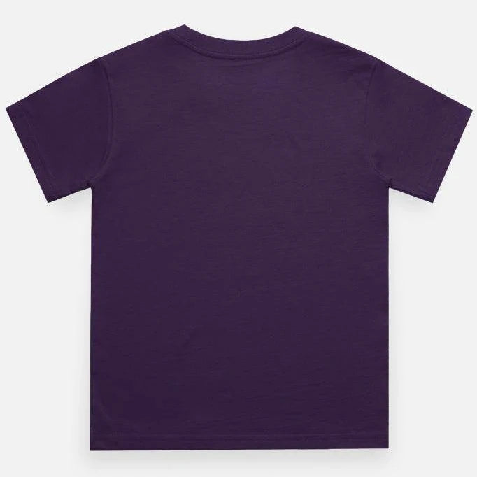 Celestial Melody – Lord Krishna Boys’ Regular-Fit T-Shirt.